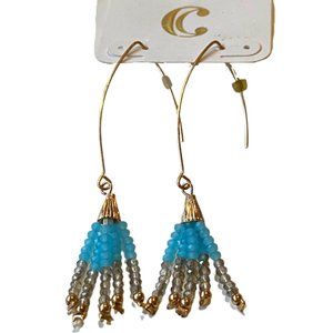 Charming Charlie Boho Dangling Bead Earrings